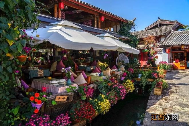 云南冬季最美的地方，每一处都让你流连忘返！