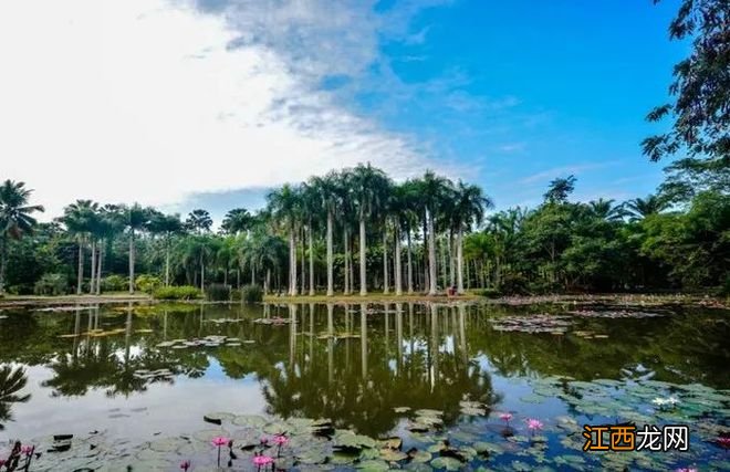 云南冬季最美的地方，每一处都让你流连忘返！