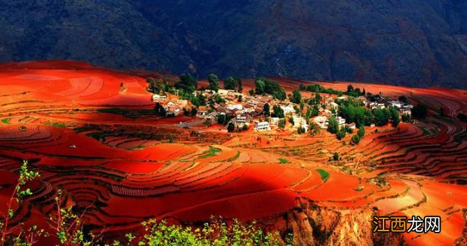 云南冬季最美的地方,每一处都让你流连忘返!