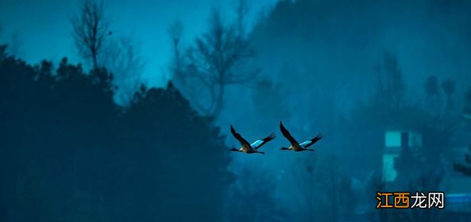 云南冬季最美的地方，每一处都让你流连忘返！