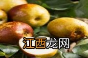 虾可以和栗子山药同吃 山药不能和什么一起吃