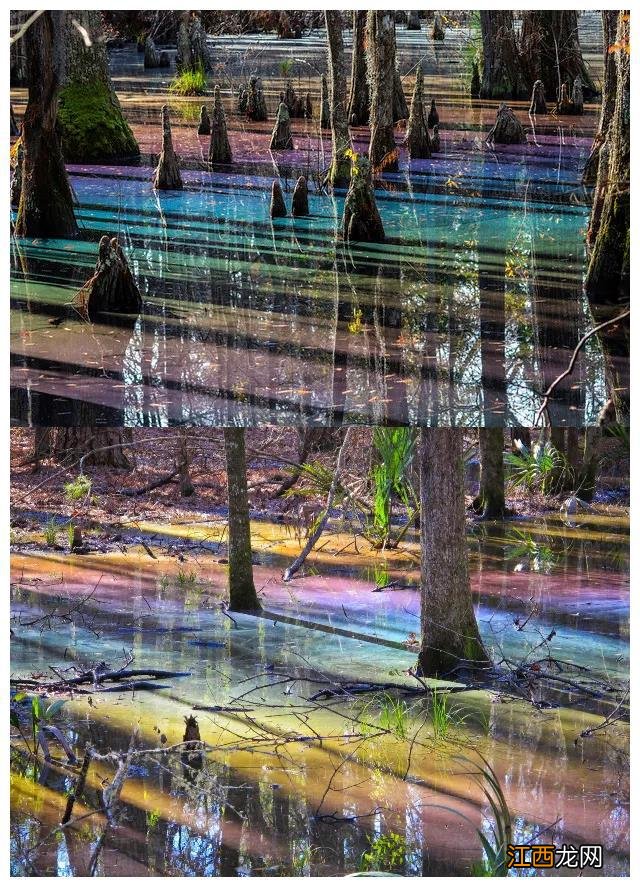 看完这27张图,被大自然的奇妙震撼到了