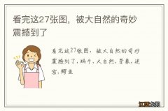 看完这27张图，被大自然的奇妙震撼到了