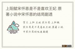 上阳赋宋怀恩是不是喜欢王妃 原著小说中宋怀恩的结局剧透