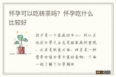 怀孕可以吃砖茶吗？怀孕吃什么比较好