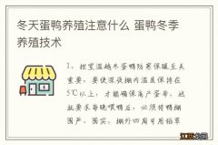 冬天蛋鸭养殖注意什么 蛋鸭冬季养殖技术