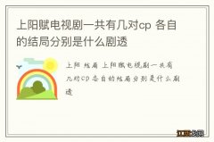 上阳赋电视剧一共有几对cp 各自的结局分别是什么剧透