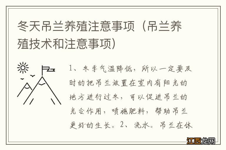 吊兰养殖技术和注意事项 冬天吊兰养殖注意事项