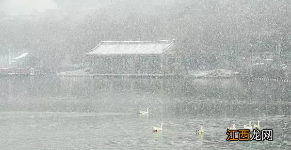 一场春雪，定格“醉美”长安