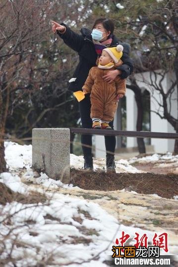 看过来！雪后南京别有风情