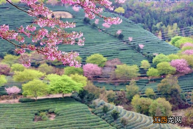 二月，适合去旅行的十个地方