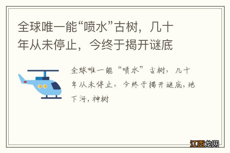 全球唯一能“喷水”古树,几十年从未停止,今终于揭开谜底