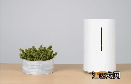 加湿器的水雾是凉的还是热的-加湿器里加开水一定要凉的吗