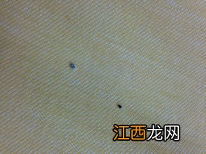床单上的黑点是被压死的虫子吗-床单被套上总有黑色的小点点怎么清洗