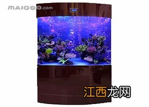 亚克力鱼缸好还是玻璃鱼缸好-亚克力鱼缸用什么胶水粘