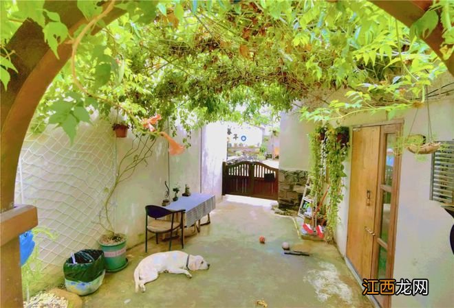 无需门票!北海又多了一个“文艺小村”,随手一拍便是童趣和小清新