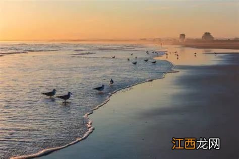 为什么有人喜欢吃臭味的食物?