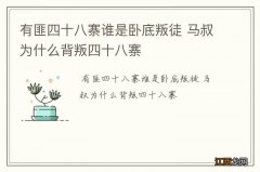 有匪四十八寨谁是卧底叛徒 马叔为什么背叛四十八寨