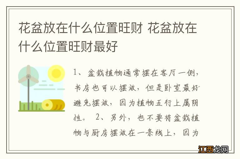 花盆放在什么位置旺财 花盆放在什么位置旺财最好