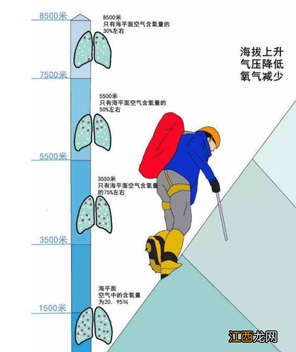 可可西里无人区有多恐怖？人类禁区，里面藏有哪些可怕生物？