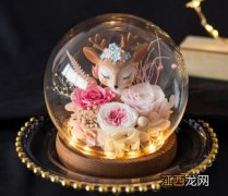 永生花会发霉吗-永生花发霉了该怎么拯救