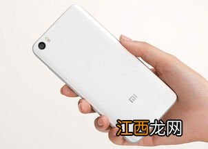 小米12大概多会发布2021-小米12长什么样