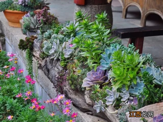 中国最美尼姑庵火了!不烧香只种花,网友惊呼,看一眼就想出家!