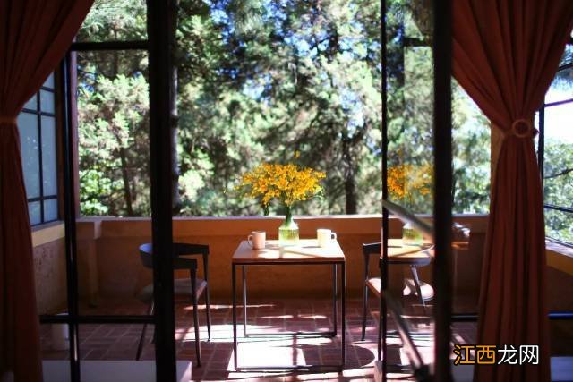 中国最美尼姑庵火了!不烧香只种花,网友惊呼,看一眼就想出家!