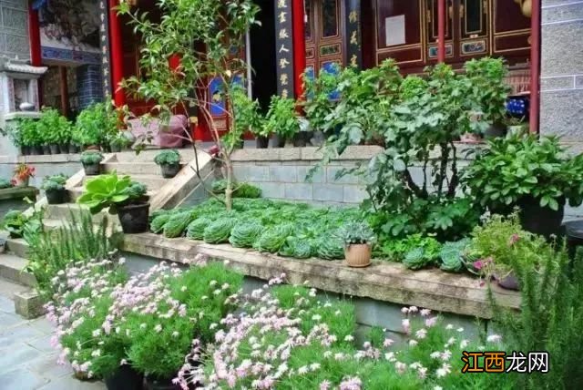 中国最美尼姑庵火了!不烧香只种花,网友惊呼,看一眼就想出家!