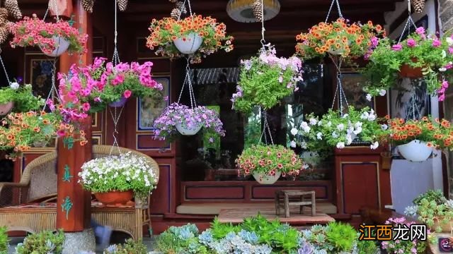 中国最美尼姑庵火了!不烧香只种花,网友惊呼,看一眼就想出家!