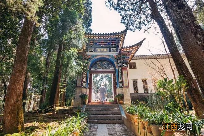 中国最美尼姑庵火了!不烧香只种花,网友惊呼,看一眼就想出家!