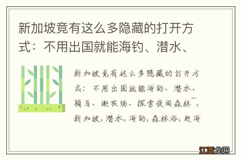 新加坡竟有这么多隐藏的打开方式：不用出国就能海钓、潜水、骑马、逛农场、探索夜间森林~