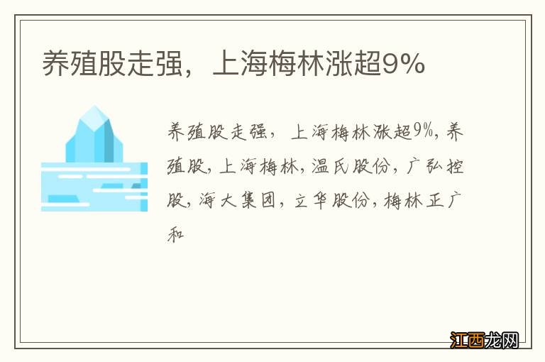 养殖股走强，上海梅林涨超9%