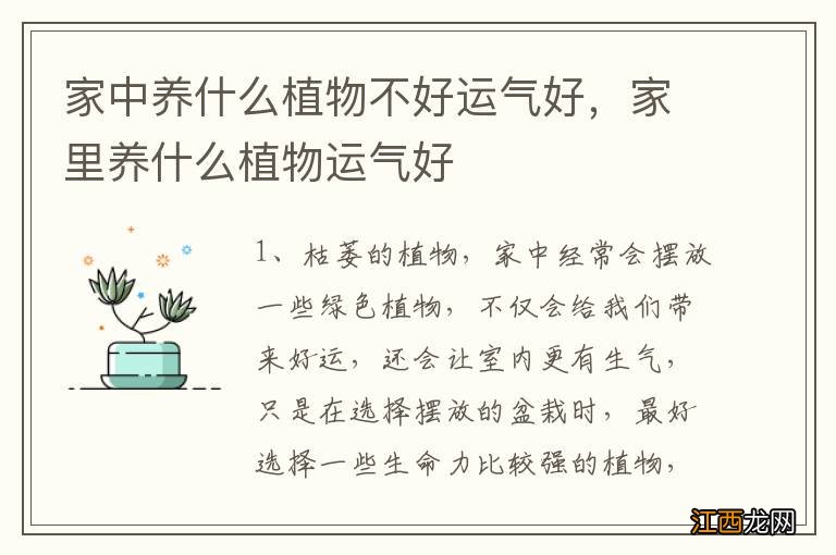 家中养什么植物不好运气好，家里养什么植物运气好