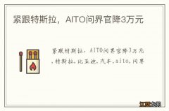 紧跟特斯拉，AITO问界官降3万元