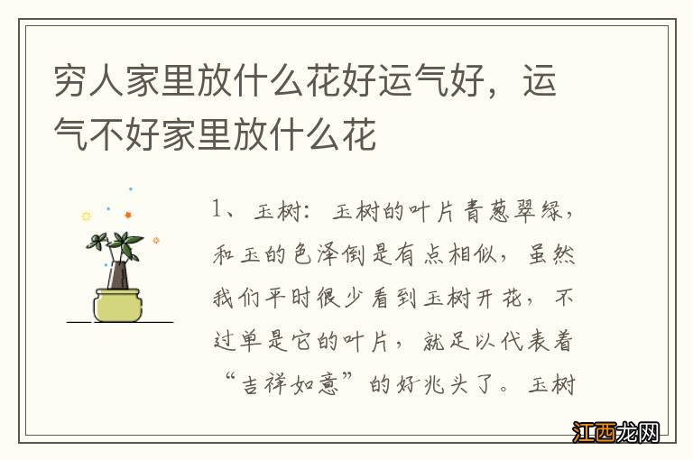 穷人家里放什么花好运气好，运气不好家里放什么花