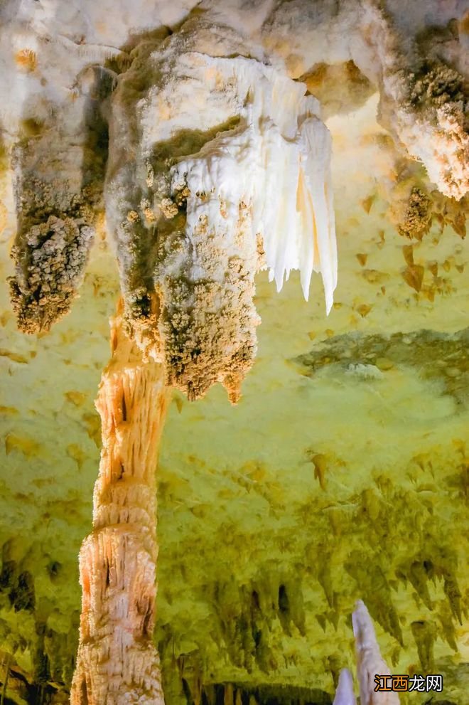 “世界长寿之乡”竟在中国！不是桂林，也不是柳州，竟是毫不起眼的它？