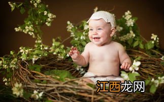 名字带木的男孩名字有哪些 带木男孩名字好寓意