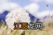 皮肤过敏怎么办 7点你要做好