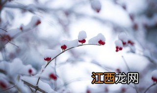 腊月打雷又下雪意味着什么 腊月雷打雪会意味着什么