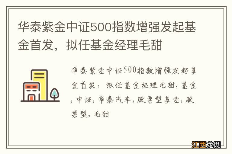 华泰紫金中证500指数增强发起基金首发，拟任基金经理毛甜