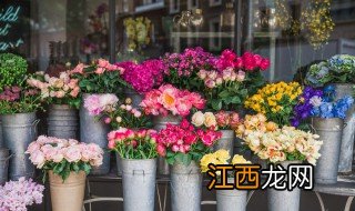 送女人花送什么花好 女人结婚送什么花好运气好