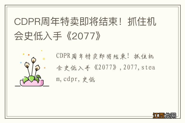 CDPR周年特卖即将结束！抓住机会史低入手《2077》