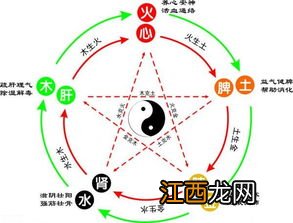 五行缺木水男孩取名字 五行缺水和木的男孩名大全