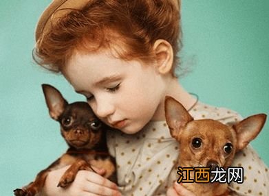 小孩起名字火字旁女孩名字 属火的女孩名字带火字旁