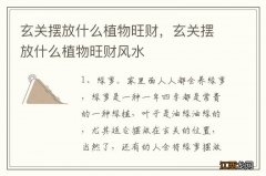 玄关摆放什么植物旺财，玄关摆放什么植物旺财风水