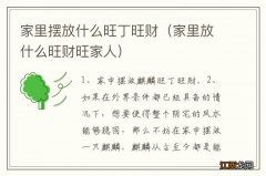 家里放什么旺财旺家人 家里摆放什么旺丁旺财