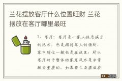 兰花摆放客厅什么位置旺财 兰花摆放在客厅哪里最旺