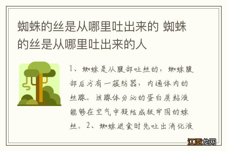 蜘蛛的丝是从哪里吐出来的 蜘蛛的丝是从哪里吐出来的人