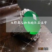 五行属木水的名字 属木属水的名字推荐